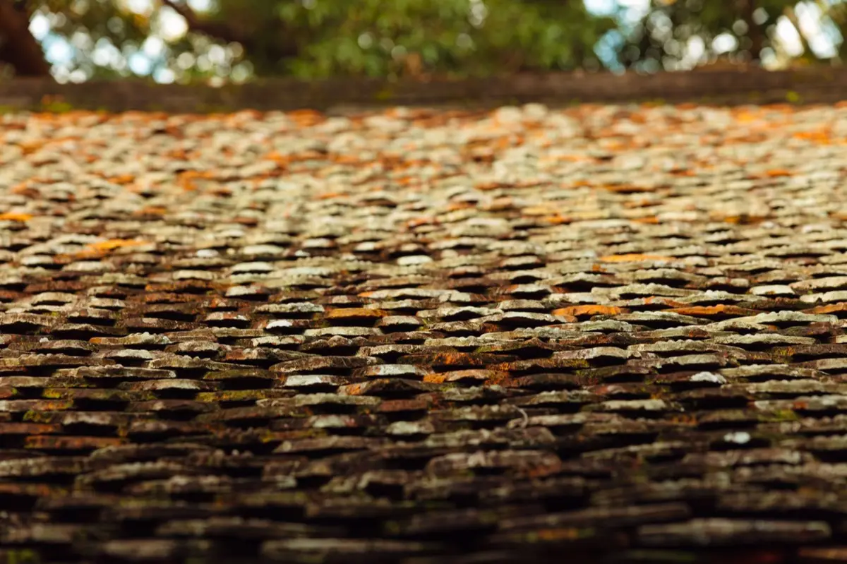 Roof Coatings & Sealing in Denver, CO